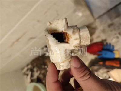 毛嘴镇自来水管道漏水检测